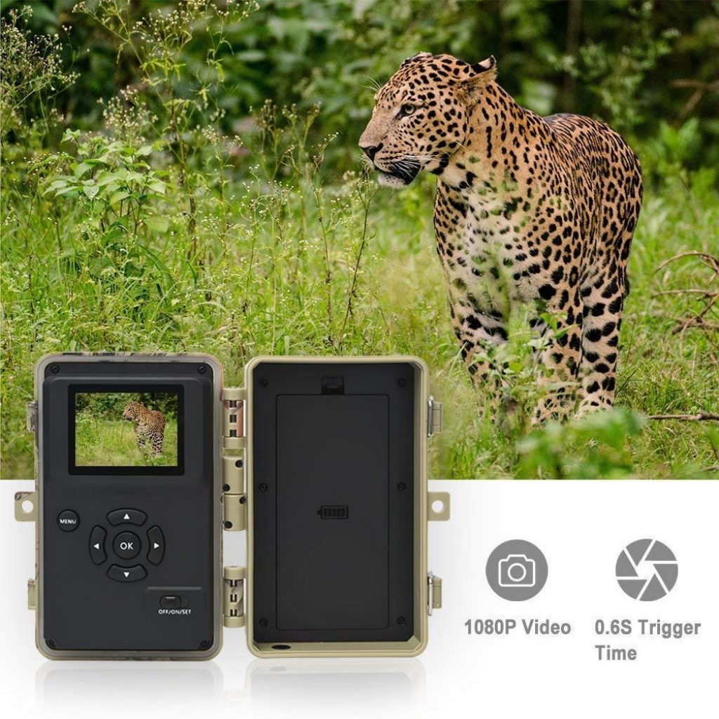 digitnow camera de chasse test