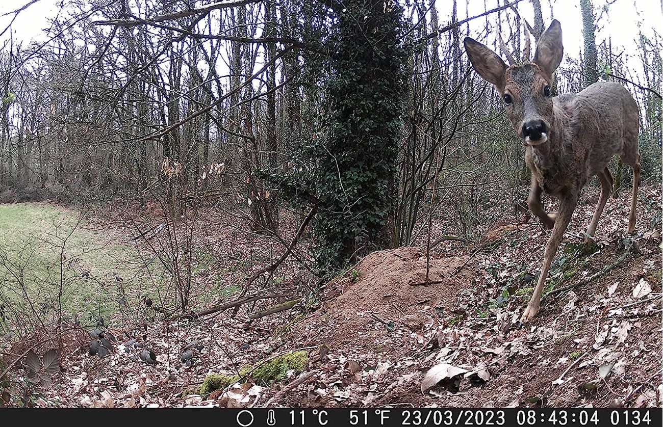 coolife h881 test avis